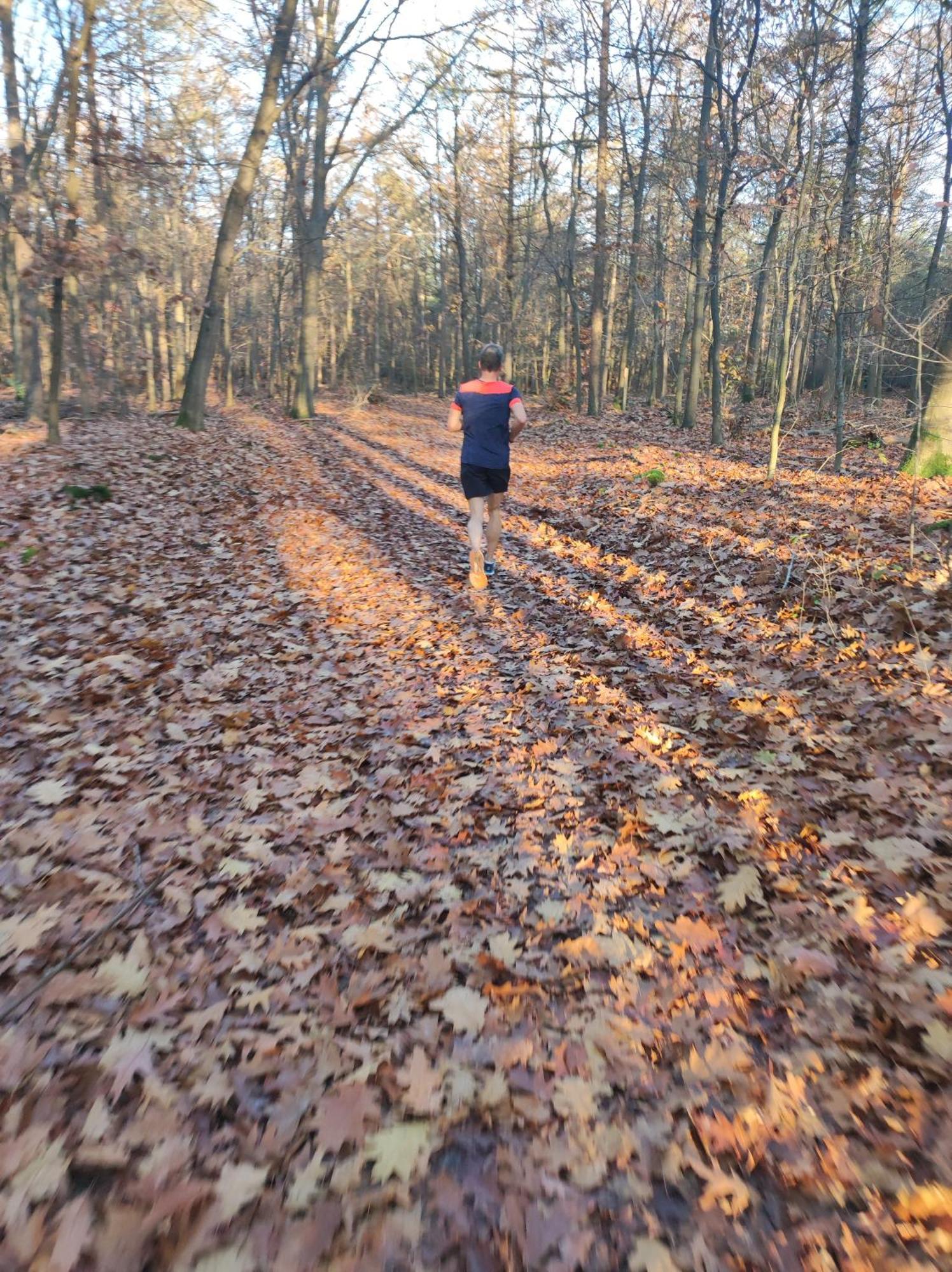 Poort Van De Veluwe Voorthuizen Luaran gambar